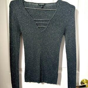 Express long sleeve sparkly ribbed top.